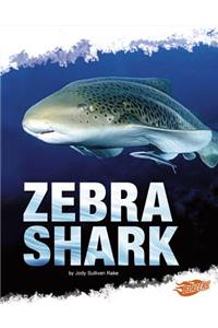 Zebra Shark