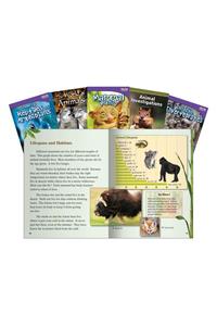 All about Animals Set