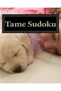 Tame Sudoku