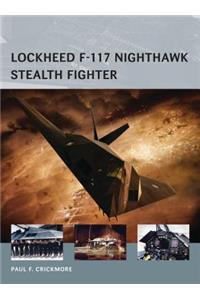 Lockheed F-117 Nighthawk Stealth Fighter