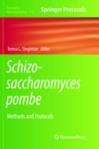 Schizosaccharomyces Pombe