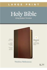 KJV Large Print Thinline Reference Bible, Filament Enabled Edition (Red Letter, Leatherlike, Brown/Mahogany)