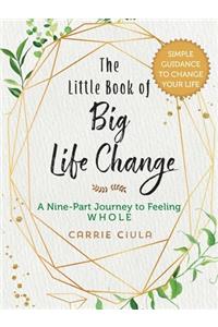 The Little Book of Big Life Change