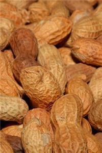 Fresh Roasted Peanuts in the Shell Snack Journal