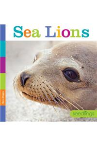 Seedlings: Sea Lions