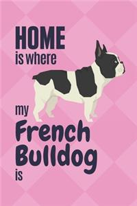 Home is where my French Bulldog is