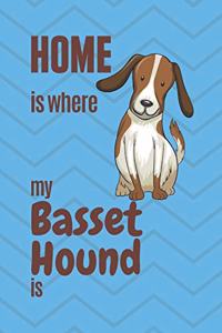 Home is where my Basset Hound is