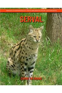 Serval