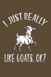 I Just Really Like Goat, Ok?