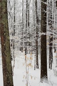 2020 Weekly Planner Winter Season Pretty Woods 134 Pages