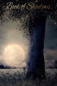 Book Of Shadows