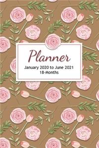 Planner - January 2020 to June 2021 - 18 Months