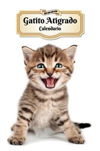 2020 Gatito Atigrado Calendario