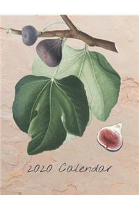 2020 Calendar