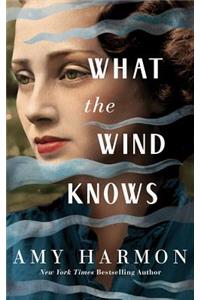 What the Wind Knows