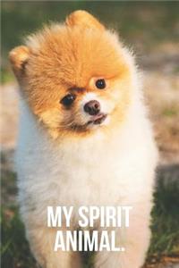 My Spirit Animal