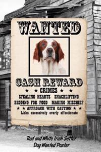 Red and White Irish Setter Dog Wanted Poster