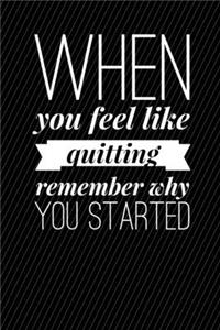 When You Feel Like Quitting Remember Why You Started