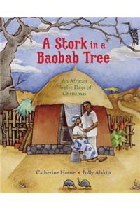 Stork in a Baobab Tree