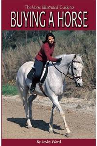 The Horse Illustrated Guide to Buying a Horse