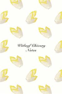 Witloof Chicory Notes