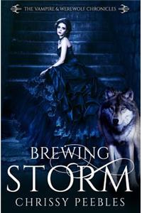 Brewing Storm - Book 5