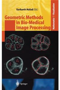 Geometric Methods in Bio-Medical Image Processing