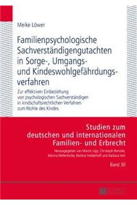 Familienpsychologische Sachverstaendigengutachten in Sorge-, Umgangs- und Kindeswohlgefaehrdungsverfahren