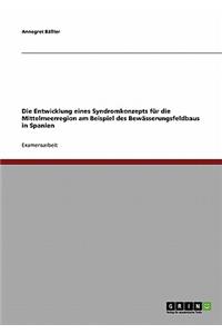 Entwicklung eines Syndromkonzepts für die Mittelmeerregion am Beispiel des Bewässerungsfeldbaus in Spanien