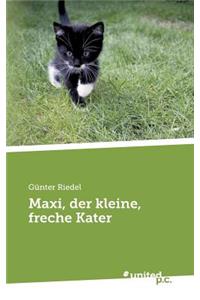 Maxi, der kleine, freche Kater