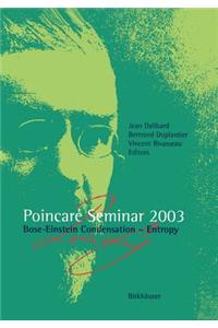 Poincaré Seminar 2003