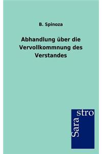 Abhandlung über die Vervollkommnung des Verstandes