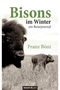 Bisons im Winter