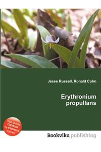 Erythronium Propullans