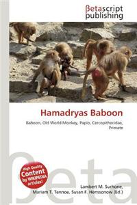 Hamadryas Baboon