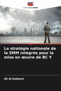 La stratégie nationale de la SMM intégrée pour la mise en oeuvre de BC Y