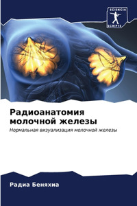 Радиоанатомия молочной железы