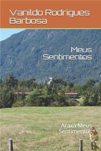 Meus Sentimentos