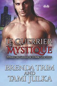 Le Guerrier Mystique