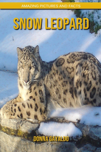 Snow Leopard