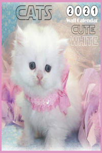 Cute White CATS