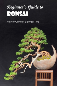 Beginner's Guide to Bonsai