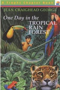 One Day in the Tropical Rain Forest