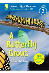 Butterfly Grows
