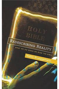 Redescribing Reality