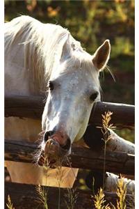 Kids Petite Equine Journal