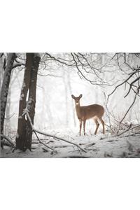 Doe in the Forest Large Embellished Holiday Notecards