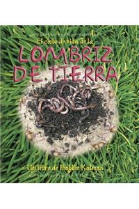 El Ciclo de Vida de la Lombriz de Tierra (the Life Cycle of an Earthworm)