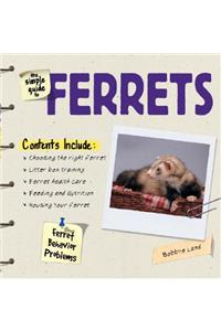 The Simple Guide to Ferrets