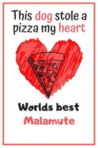 This Dog Stole A Pizza My Heart Worlds Best Malamute